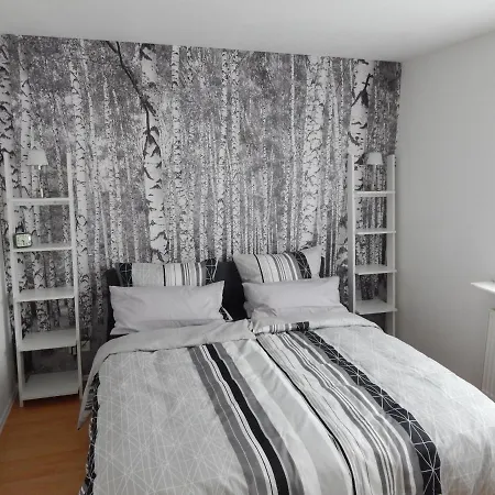 Ferienhaus Ommy Mehrwein 아파트