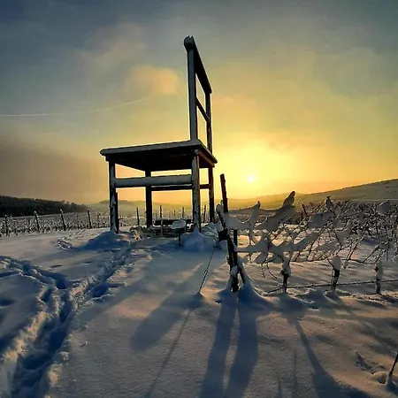 Ferienhaus Ommy Mehrwein * 자스바흐 암 카이저슈툴